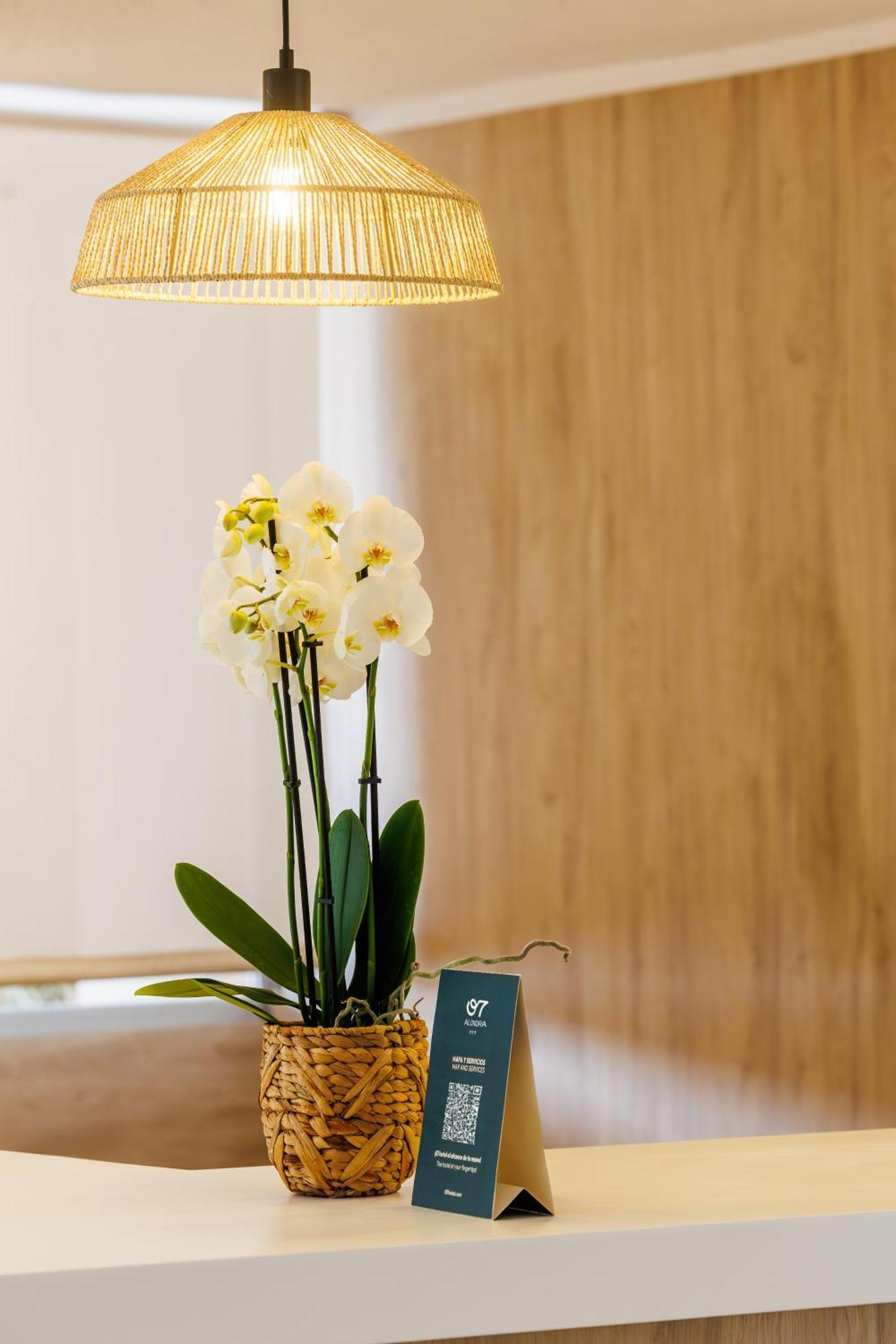 Hotel O7 Alondra Cala Ratjada (Mallorca)
